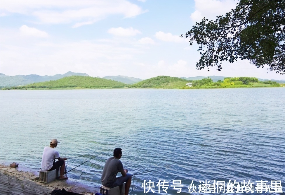 垂钓|夏钓鲫,别再迷信绝招!学会四“钓”,鲫鱼满载而归——盛世三渔