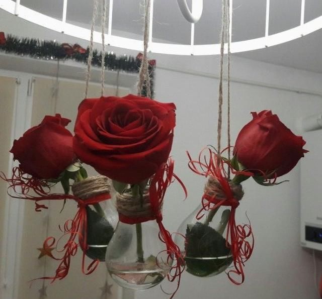 阳台|把灯泡拿去养花,挂在阳台上太好看了!真的太佩服邻居的脑洞