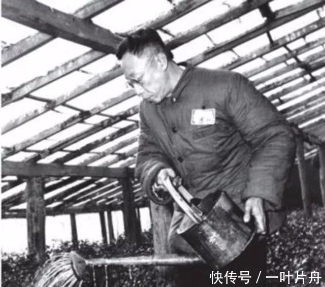 说出|溥仪想到故宫工作被总理驳回,说出溥仪不能“回家”原因!