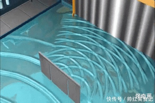 神学 科学的尽头是神学?一个简单物理实验,却得到颠覆认知的诡异结果