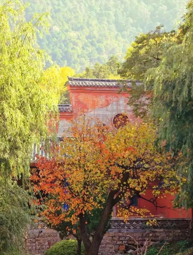 石勒|中国历史上真正深不可测的“扫地僧”,是那么的不可思议!