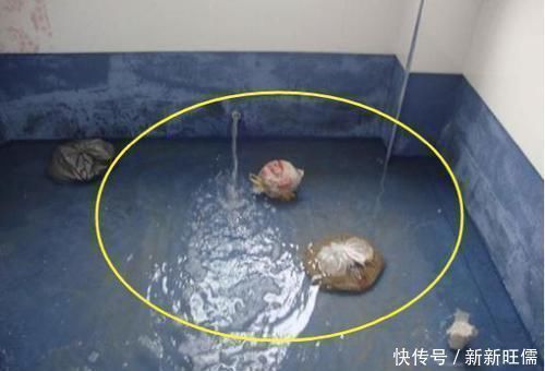 防水|厨房装修万万别踩这四个坑,我家装错才来告诉你,真想拆了重新装