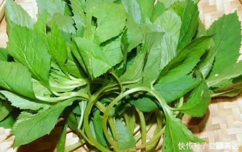 优质蛋白|女性不妨多吃3种食物,减肥瘦身、补血养颜,谁吃谁受益!