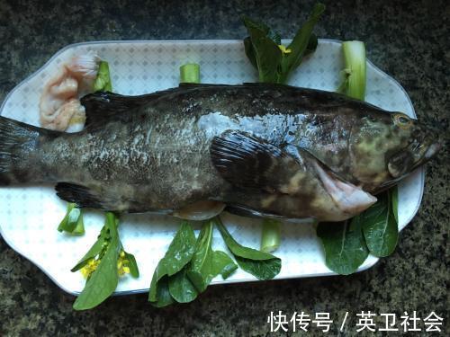 鲳鱼|这5种鱼记得多吃，都是本土海水鱼，新鲜美味营养高，价格也不贵