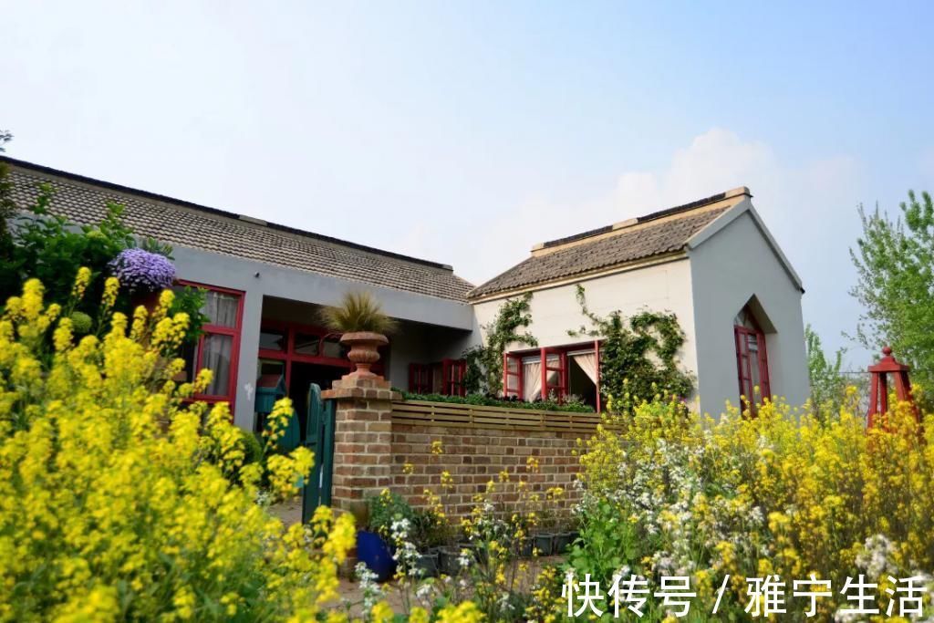 大花园|退休夫妻花4年改造自家老房,建3000㎡大花园,住在人间仙境里