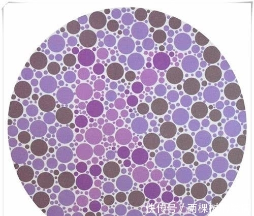 色盲测试 第2幅最难认 第3幅最好认 而色弱者 我看不出 快资讯 色盲测试 第2幅最难认 第3幅最好认 而色弱者 我看不出 快资讯