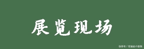 文物展|南山博物馆上新啦!《南有嘉鱼——荆州出土楚汉文物展》