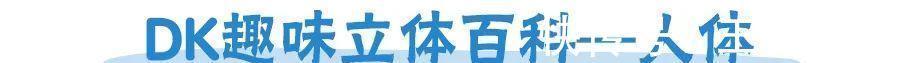 恐龙世界@DK图书大盘点第一季:少儿百科类