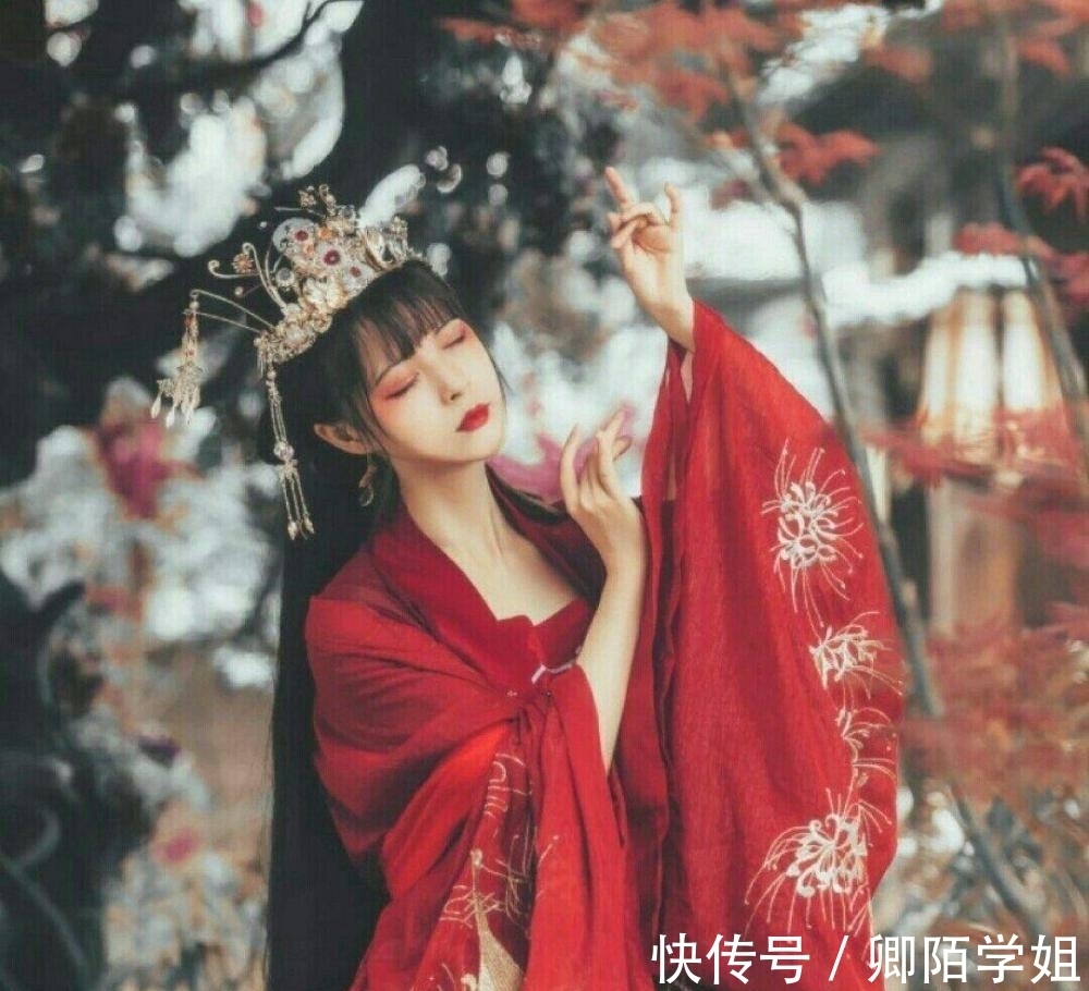 叶苍安|《暴君的天价弃后》“皇后给您留了份休书”他装作镇定“无妨!”