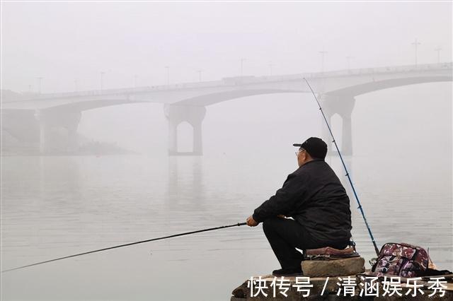 鲤鱼|弄明白这几句话,野钓找鱼窝,简直易如反掌