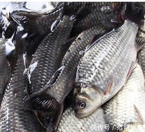 中老年人|前列腺增生要管好嘴,5种容易加重增生的食物,宁愿挨饿也别碰