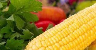 保存玉米,别直接放冰箱冷冻了,教你一招玉米放再久也鲜甜!