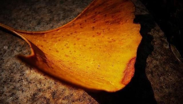 光阴#1000年来最有用的一句诗,短短7字,学会了一辈子受益无穷