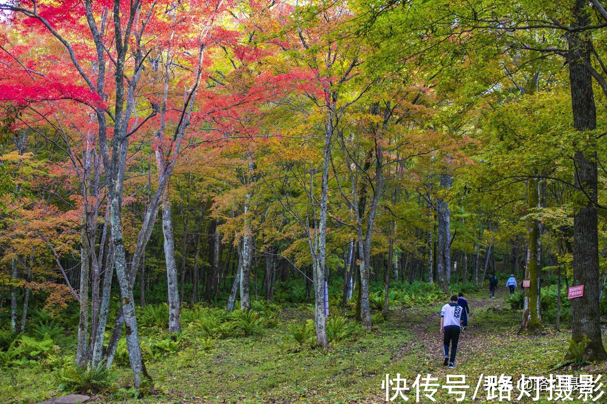 自驾游|国庆自驾游，一生必去的5个绝色之地，景美人少，你去过几个？