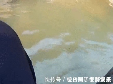 大鱼|和朋友深山钓鱼,意外钓上“奇鱼”,鱼鳞大,颜色也特别,什么鱼