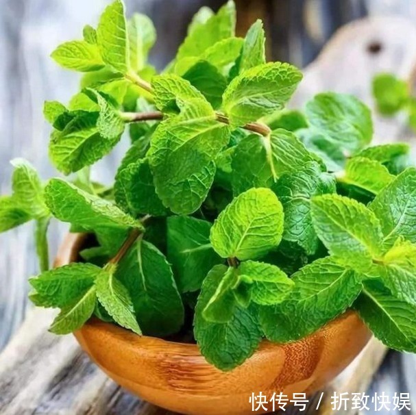 厨房做饭油烟重，放3种植物，厨房油烟不见了，空气清新，更健康