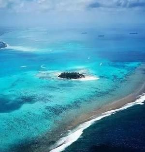  也许|二十六个趣味冷知识：也许书本上没有，但都是真实存在的