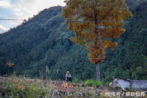 古村|江浙沪最适合度假的地方，不是莫干山！语文课本中都出现过的地方