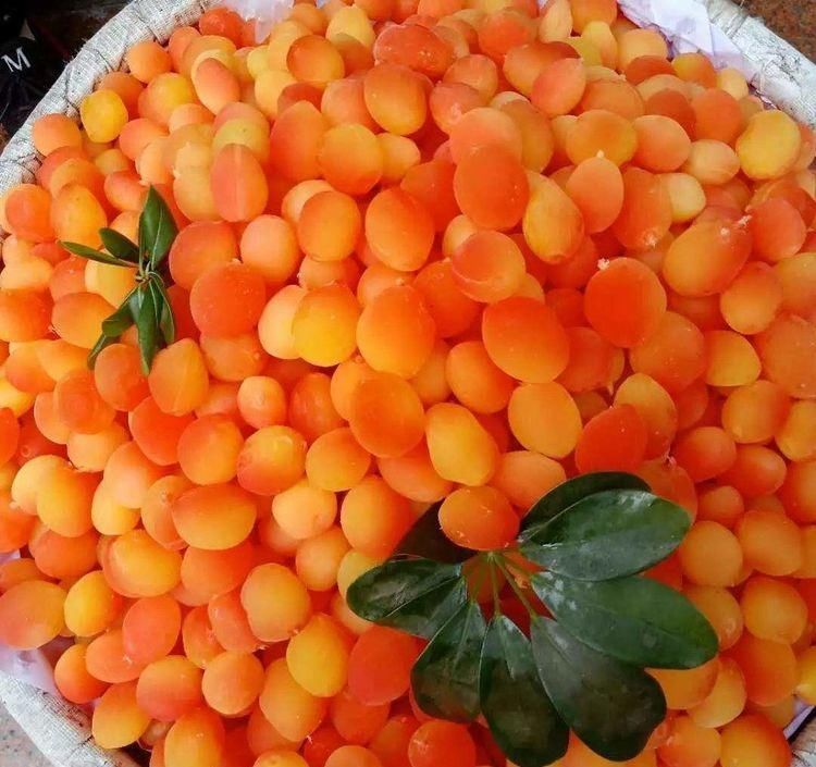 清肠排毒|人到中年想长寿,要坚持吃3种食物,补充营养、补益身体!