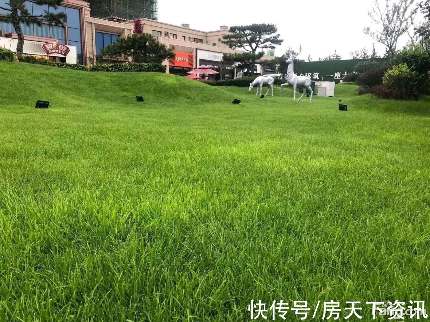 组图|请查收从威海文登区热门楼盘现场传来多张谍照(组图)