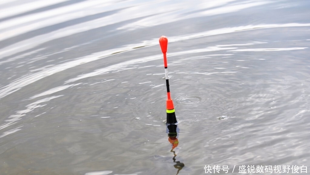 高手们|如何在调钓中搭配浮漂、铅坠和钩饵？这个小技巧高手们都在用