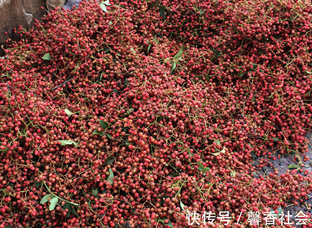 窍门|烀猪肉煮排骨，记住“3不放2窍门”，肉香味浓无腥味，瘦肉还不柴