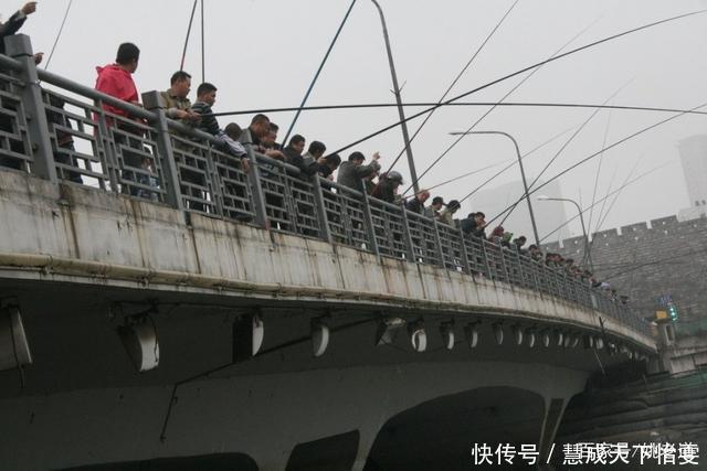  浅水区|冬季钓鱼，钓浅、钓深不绝对，但这几种情况必须钓深