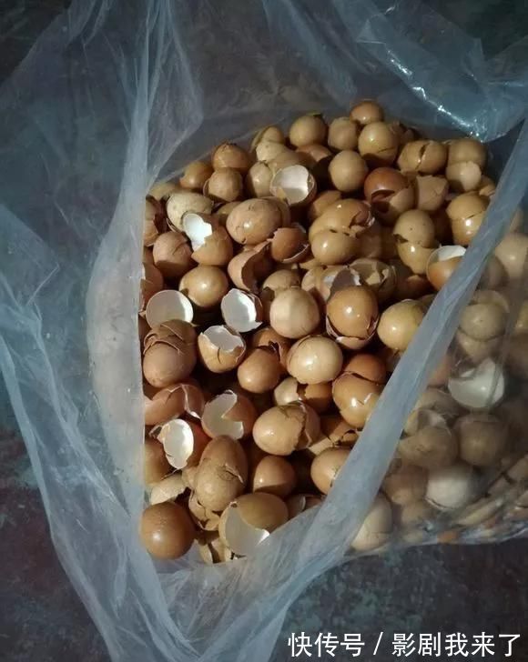 骨粉|养花不开花?自制“开花肥”,浇盆里猛开花,不用花钱买