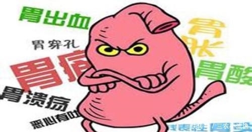 肠胃功能|肠胃不好别整天“吃药”, 每天泡它喝, 胃病不再缠着你!