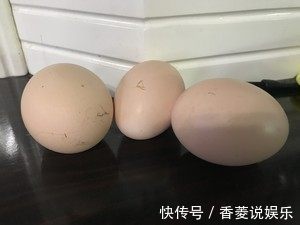 红枣酸奶|媳妇用它做的早餐饼，营养又健康，孩子一顿能吃5张，你不去试试