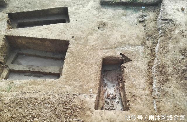 盗墓|温韬:盗墓界“神”一样的存在, 为何他的水平这么高?