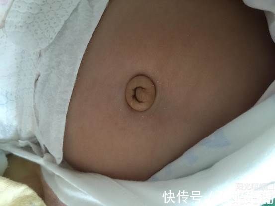 发育|宝宝的5大部位,家长摸不得,要摸就摸这3个部位,越摸越聪明