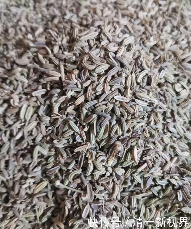 飘香|想让卤水飘香四溢 这几款香料不可少