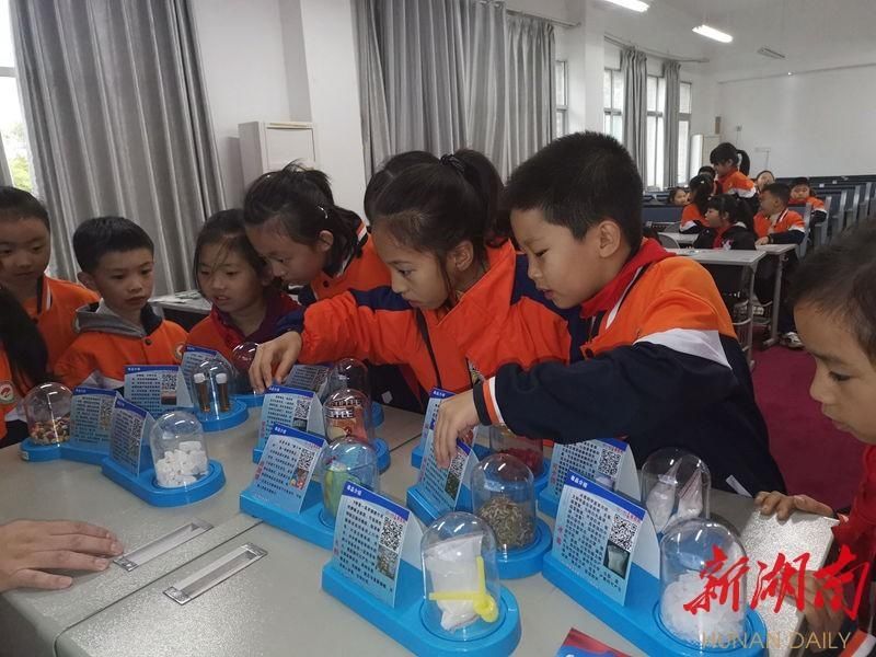  禁毒|衡阳市祝融小学：筑牢学校禁毒“防火墙”