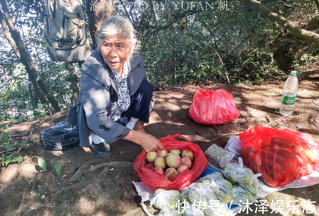 张家界|谁说张家界都是坑70岁老奶奶背水果上山卖，比市场还便宜