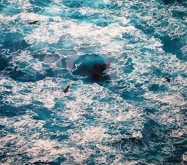 幅画!一幅画画了3年,细到要用放大镜,他把钢笔画玩到了极致