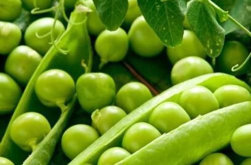 得了糖尿病先别慌,平时敞开肚子吃4物,或助你血糖不升反降