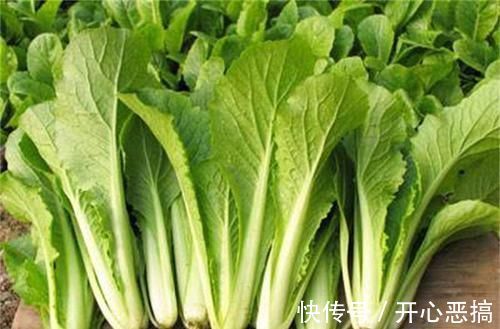 美容养生|40岁女性推荐多吃3种食物，美容养生、延缓衰老，爱吃就赚了！