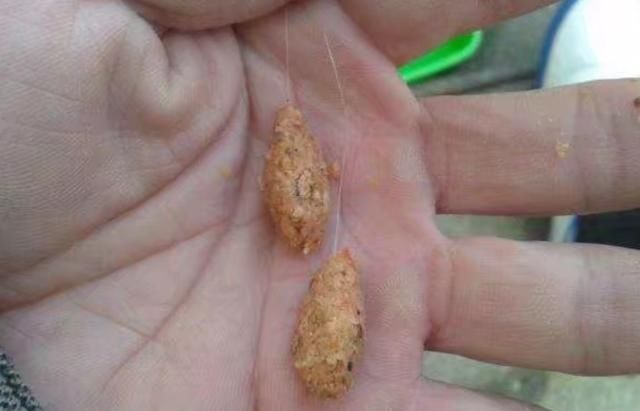 钓法|白花花米饭是个好东西,谈夏季米饭粒的妙用