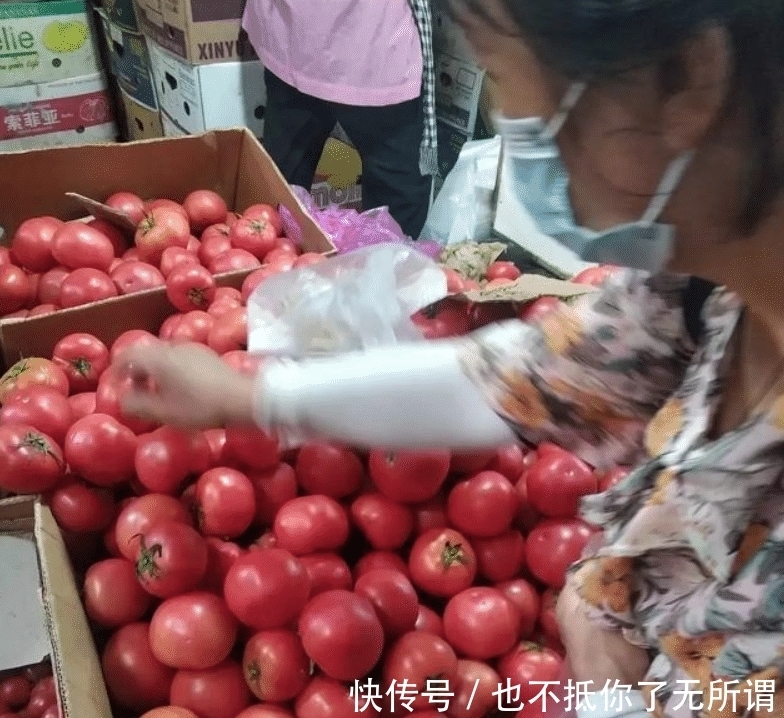 为什么现在的番茄越来越没沙，也没番茄味了啊？