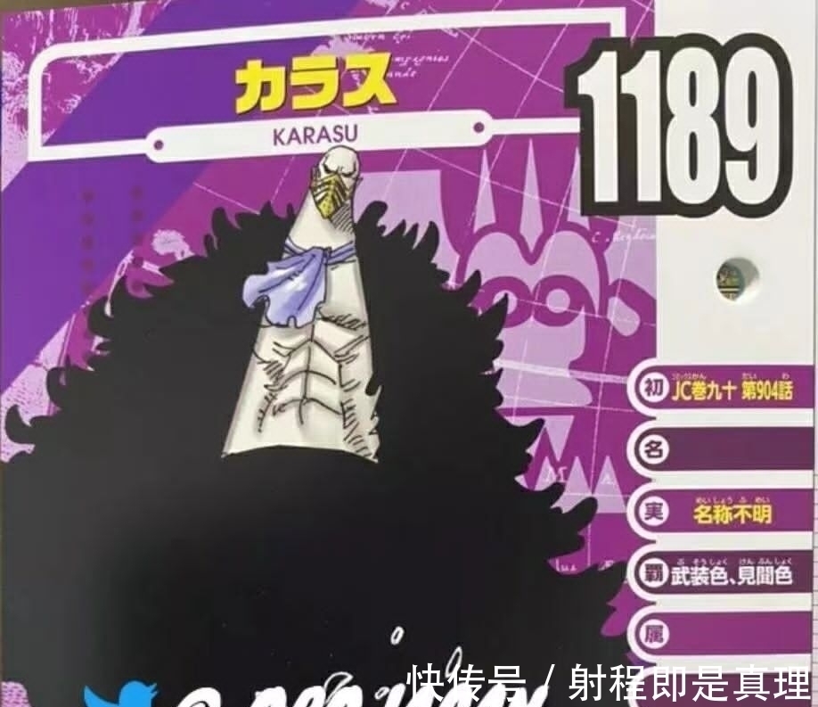 萨博|海贼王官方情报：革命军队长的悬赏金曝光，乌鸦4亿，实力太弱了