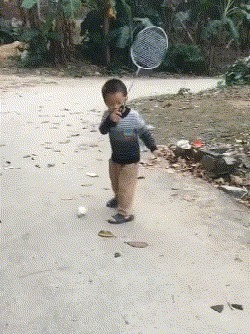 |搞笑GIF:逗什么都行可千万别逗猴子,不然这就是下场