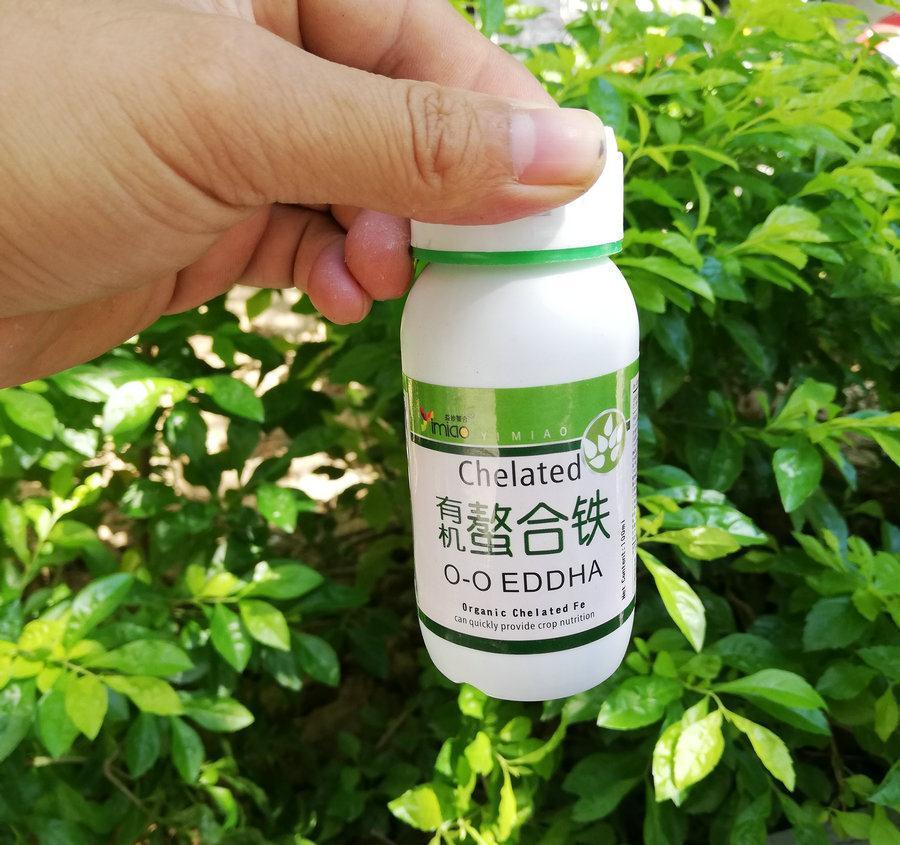 花盆里加几滴“它”,月季,茉莉,栀子花再也不黄叶