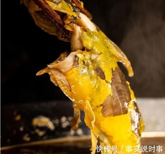 我花了29块,吃了海王的鱼塘