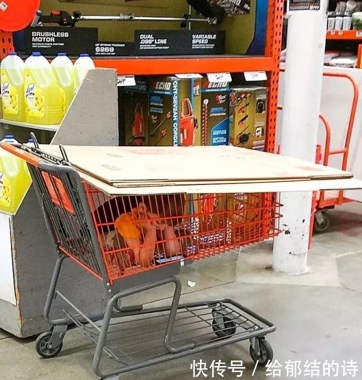 妈妈们|不要让男人单独带娃，因为画面太美了