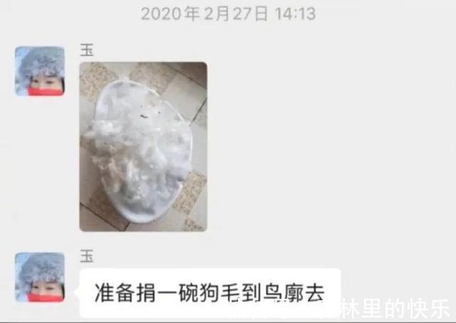 |男朋友:我太难了 冷段子1381 & 去年今日1071