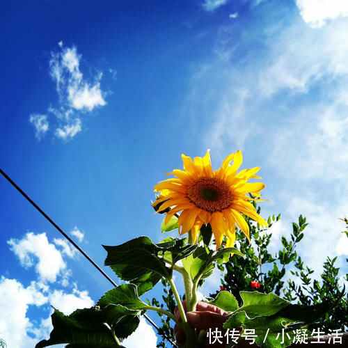 睡眠障碍|从严重失眠到轻松入睡，73岁爷爷秘诀分享：只因常吃这一“素”