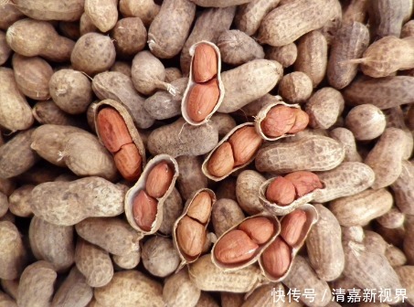 榛子|宝宝越吃越聪明的5种零食,两岁后可以吃了,对大脑发育有大好处