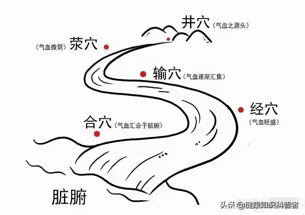 五输穴|六腑分布在指趾末端的六个井穴