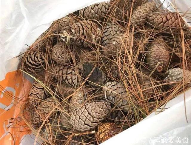 路边捡点它,开水一烫扔盆里,养花10年不烂根!